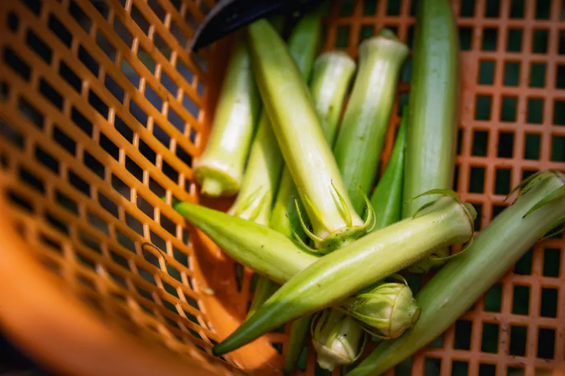 まほろばの日々テスト投稿1