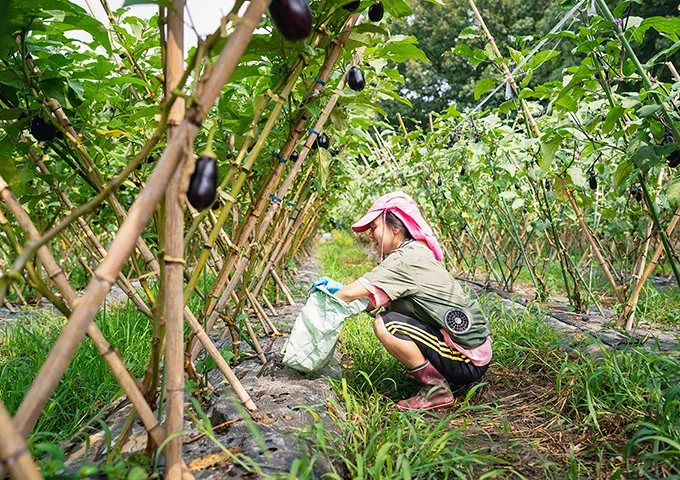 朝礼・作業の様子