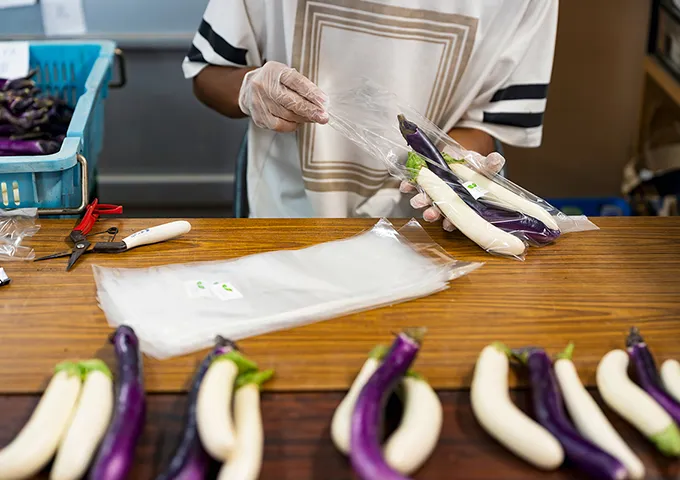 朝礼・作業の様子